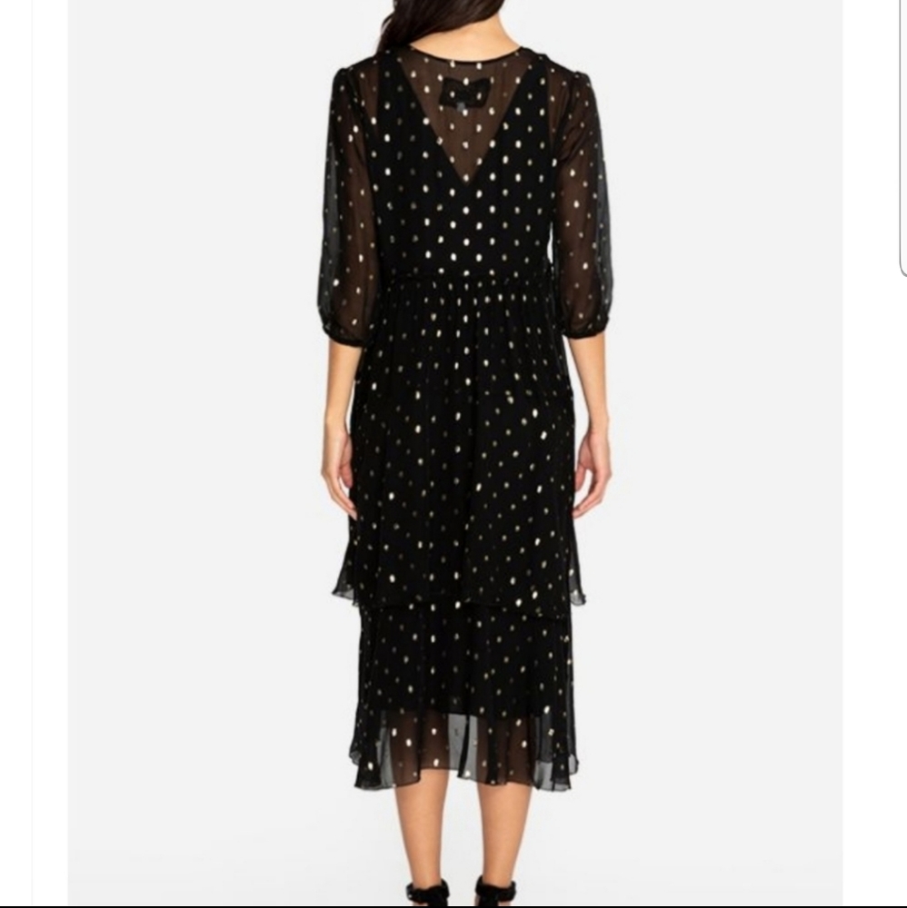 Raja Tiered Maxi Dress - Picture 8 of 10